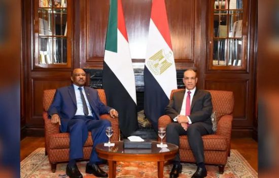 الخارجية المصرية: نتحرك بفاعلية لإقرار هدنة عاجلة في السودان