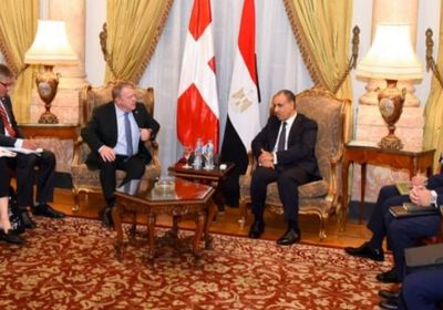 الخارجية المصرية: يجب تثبيت وقف إطلاق النار في غزة