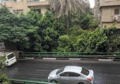 حالة طقس اليوم الأحد 2-11-2025 في مصر