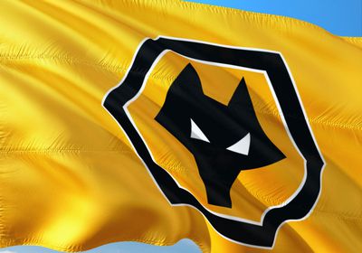 ولفرهامبتون يقيل بيريرا بعد عدم تحقيق أي فوز هذا الموسم وتذيل الترتيب