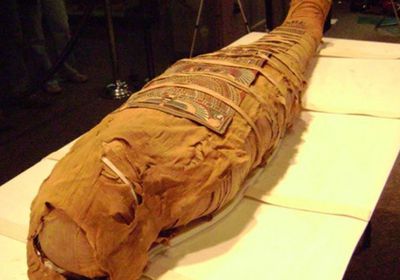 هولندا تعتزم إعادة قطعة أثرية عمرها 3500 عام إلى مصر