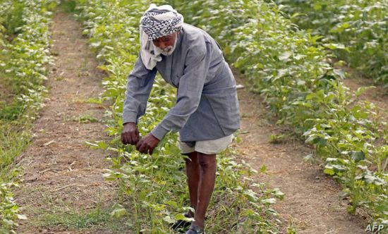 العراق يقر خطة زراعية للموسم الشتوي تركز على المياه الجوفية