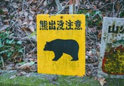 اليابان تنشر قوات لمواجهة هجمات الدببة