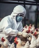 بريطانيا ترصد إصابات بأنفلونزا الطيور شديدة الخطورة