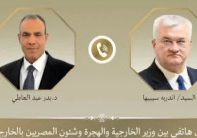 وزير الخارجية المصري يبحث مع نظيره الأوكراني القضايا المشتركة