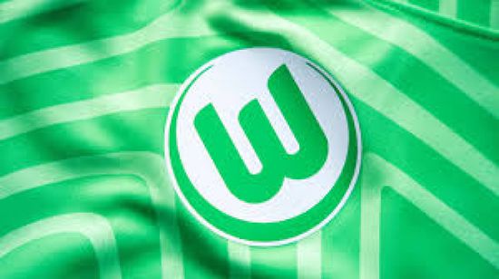 فولفسبورج يقيل مدربه سيمونيس بعد 10 مباريات في الدوري