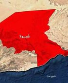 ضربات على مواقع القاعدة بشبوة.. ضغوط عسكرية تدفع نحو استقرار الجنوب