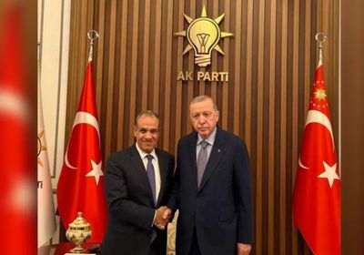 وزير الخارجية المصري يسلم رسالة من الرئيس السيسي إلى أردوغان