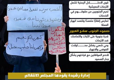 الجنوب يتحدى حرب الخدمات.. صمود يصنع طريق الدولة (إنفوجراف)