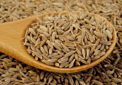 أهمية الينسون على جسم الإنسان