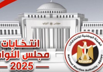 هيئة الانتخابات المصرية: لا نستبعد إلغاء المرحلة الأولى