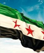 الصين تؤكد استعدادها للمساهمة في استقرار سوريا