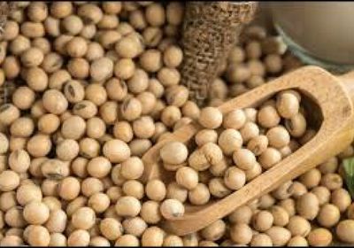 عقود فول الصويا تقفز إلى أعلى مستوى في 18 شهرًا