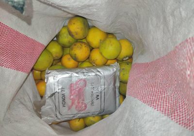 القبض على مروجي مخدرات وضبط كيلو حشيش بساحل حضرموت