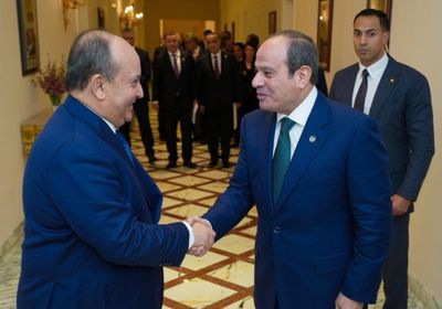 مصر: نقدر دور الجزائر في مجلس الأمن دفاعاً عن القضايا العربية