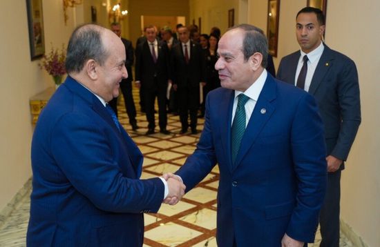 مصر: نقدر دور الجزائر في مجلس الأمن دفاعاً عن القضايا العربية