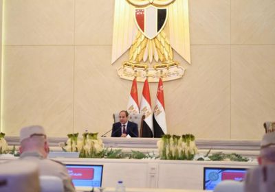 الرئيس السيسي: كنا على حافة الهاوية في 2011