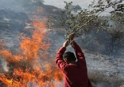 مستوطنون يضرمون النار بأراضي فلسطينيين غرب رام الله