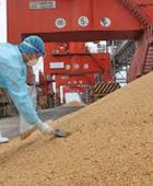 الصين توقف واردات فول الصويا من 5 منشآت برازيلية