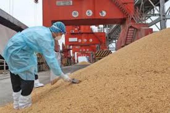 الصين توقف واردات فول الصويا من 5 منشآت برازيلية