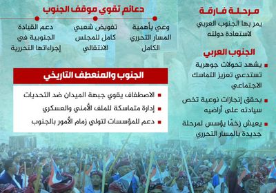 وحدة الصف الجنوبي.. ضرورة استراتيجية لحماية المنجزات العسكرية (إنفوجراف)