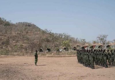 مصدر عسكري: رئيس بنين بأمان والجيش استعاد السيطرة على الوضع