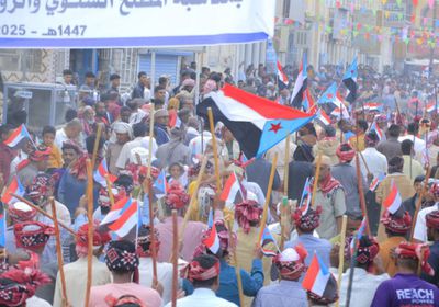 وحدة الصف الجنوبي.. ضرورة استراتيجية لحماية المنجزات العسكرية