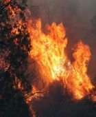 حرائق الغابات في أستراليا تسفر عن مقتل رجل إطفاء