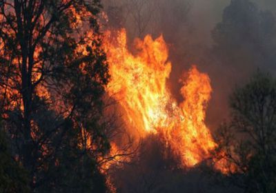 حرائق الغابات في أستراليا تسفر عن مقتل رجل إطفاء