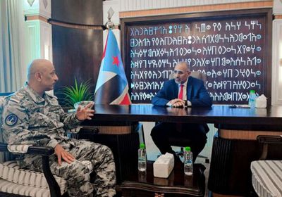 الرئيس الزُبيدي: حماية الممرات البحرية يخدم أمن المنطقة والعالم