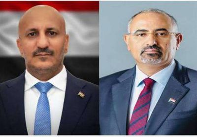 الرئيس الزُبيدي وطارق صالح يتفقان على وحدة المعركة بمواجهة الحوثي
