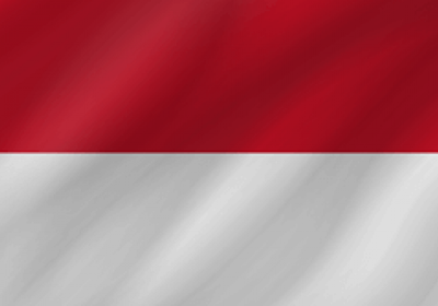 إندونيسيا تعلق أعمال ثلاث شركات في سومطرة للتحقيق