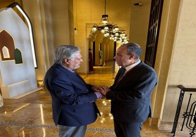 وزير الخارجية المصري يلتقي نظيره الباكستاني في الإمارات