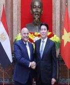 هاني مصطفى يقدم أوراق اعتماده سفيراً لمصر في فيتنام