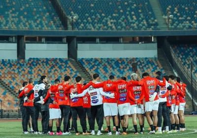اليوم.. منتخب مصر يلتقي نيجيريا وديًا