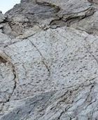 اكتشاف آثار أقدام ديناصورات في جبال الألب الإيطالية