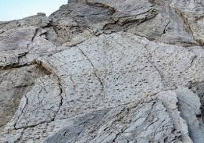 اكتشاف آثار أقدام ديناصورات في جبال الألب الإيطالية