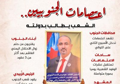 اعتصامات الجنوبيين.. الشعب يطالب بدولته (إنفوجراف)