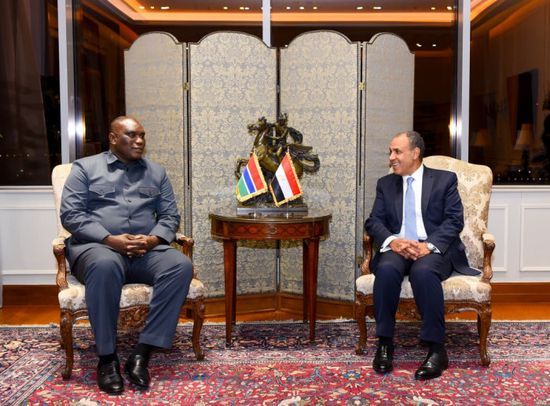 وزير الخارجية المصري يناقش مع نظيره الجامبي تعزيز العلاقات الثنائية