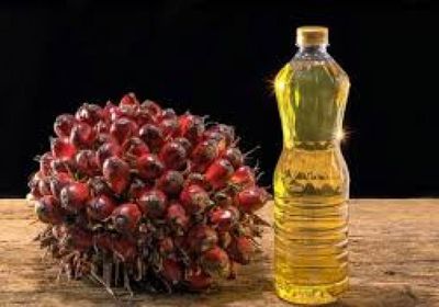العقود الآجلة لزيت النخيل الماليزي تهبط لأدنى مستوى في 3 أسابيع