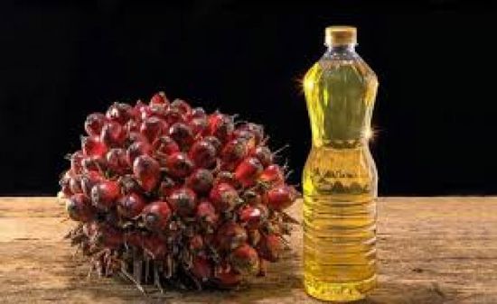 العقود الآجلة لزيت النخيل الماليزي تهبط لأدنى مستوى في 3 أسابيع