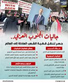 جاليات الجنوب العربي.. جسر لنقل قضية الشعب العادلة إلى العالم (إنفوجراف)