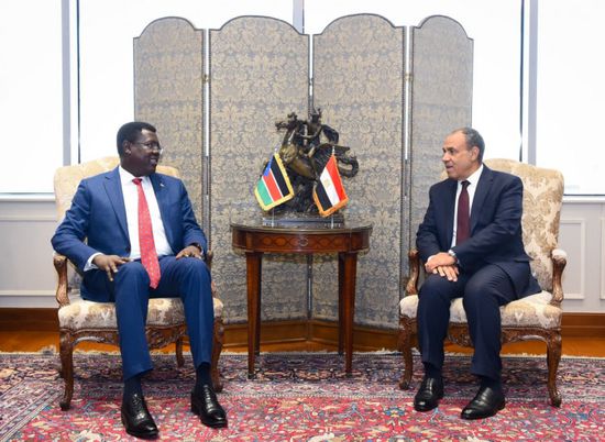وزيري خارجية مصر وجنوب السودان يجريان جلسة مشاورات سياسية