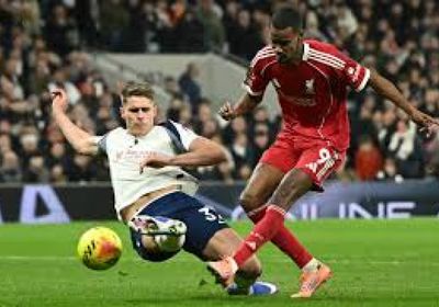 مدرب توتنهام يدعم فان دي فين بعد تدخله على إيساك