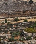 14 دولة تدعو إسرائيل لوقف التمدد الاستيطاني في الضفة الغربية