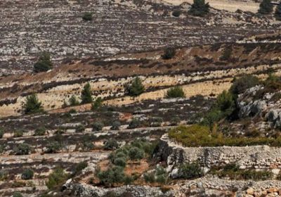 14 دولة تدعو إسرائيل لوقف التمدد الاستيطاني في الضفة الغربية