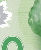 الدولار الكندي يقفز لأعلى مستوى في 5 أشهر مقابل الأمريكي