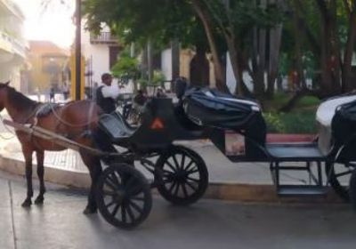 سلطات مدينة كارتاخينا الكولومبية السياحية تحظر عربات الخيول