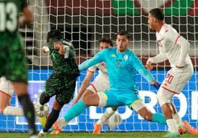 تونس تسقط أمام نيجيريا بكأس الأمم الأفريقية