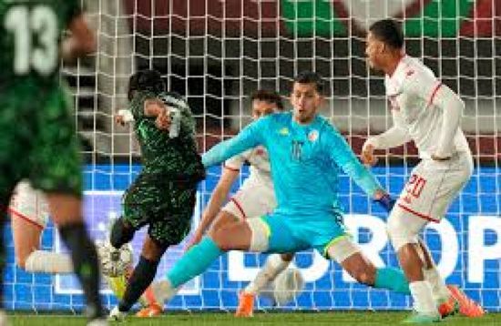 تونس تسقط أمام نيجيريا بكأس الأمم الأفريقية